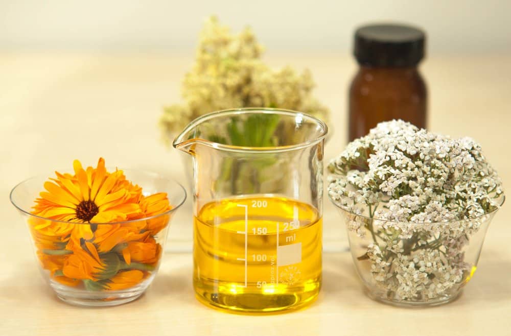CBD, hemp industries to highlight new ideas at Florida expo