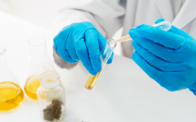 Marijuana_Chemistry-Michael_Starks_2nd_edition